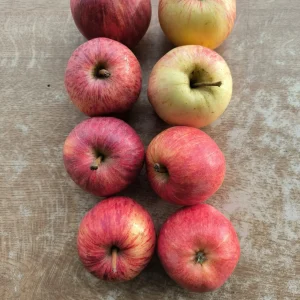 a1 : Pomme Gala