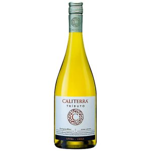 Tributo – Sauvignon Blanc Caliterra – Blanc – 2015