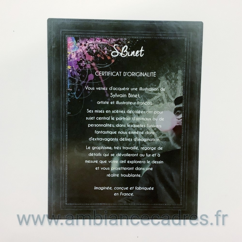 Tableau Pierce Brosnan Sylvain Binet 63x83cm – Image 6