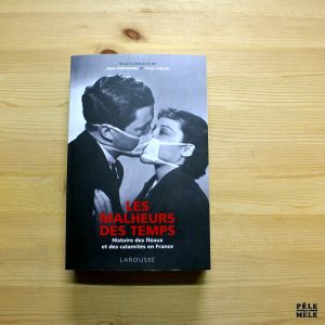 "Les malheurs du temps, histoire des fléaux en France" - Jean Delumeau / Yves Lequin