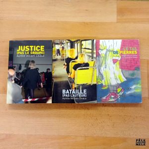 "Le Tas de pierres" / "Justice (pas le groupe)" / "Bataille (pas l'auteur)" - Aurélie William Levaux / Christophe Levaux