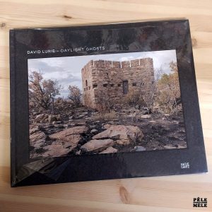 "Daylight Ghosts" - David Lurie