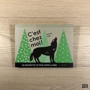 C'est chez moi ! - AURORE PETIT - Editions de La Martinière - Pop-up