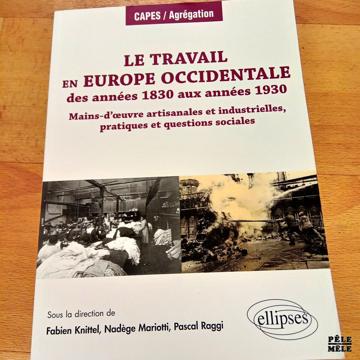Le travail en Europe occidentale des années 1830 aux années 1930 Mains d'œuvre artisanales et industrielles, pratiques et questions sociales - Capes / Agrégation (Ellipses)