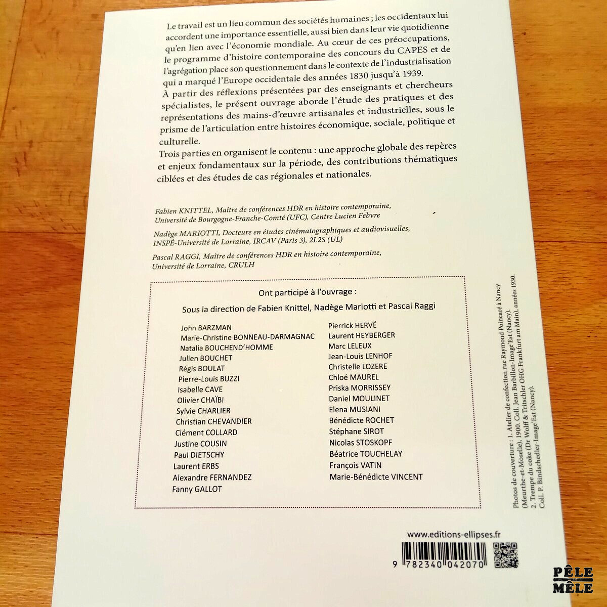 Le travail en Europe occidentale des années 1830 aux années 1930 Mains d'œuvre artisanales et industrielles, pratiques et questions sociales - Capes / Agrégation (Ellipses) – Image 2