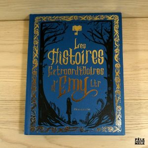 Les histoires extraordinaires d'Emy Ltr - Emy Letertre