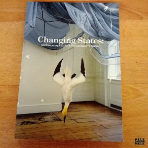 Changing States: contemporary Irish Art & Francis Bacon's studio - Bozar Books