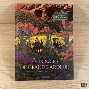 Aux soirs de grande ardeur - Nicolas Puzenat