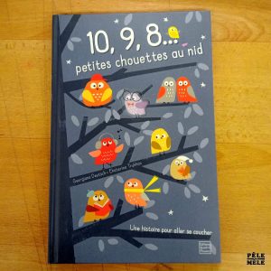 "10,9,8... petites chouettes au nid" - Georgina Deutsch, Ekaterina Trukhan (Quatre Fleuve)