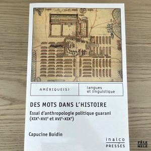 Des mots dans l'histoire - Essai d'anthropologie politique guarani (XIXe-XVIe et XVIe-XIXe) - Capucine Boidin