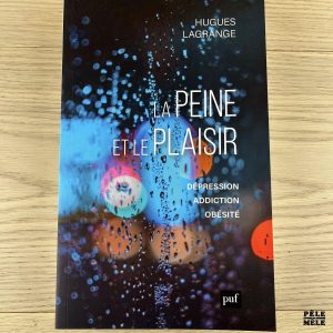 La peine et le plaisir Dépression, addiction, obésité - Hugues Lagrange