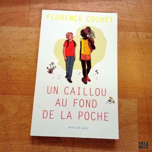 Un caillou dans la poche - Florence Cochet (Actes Sud)