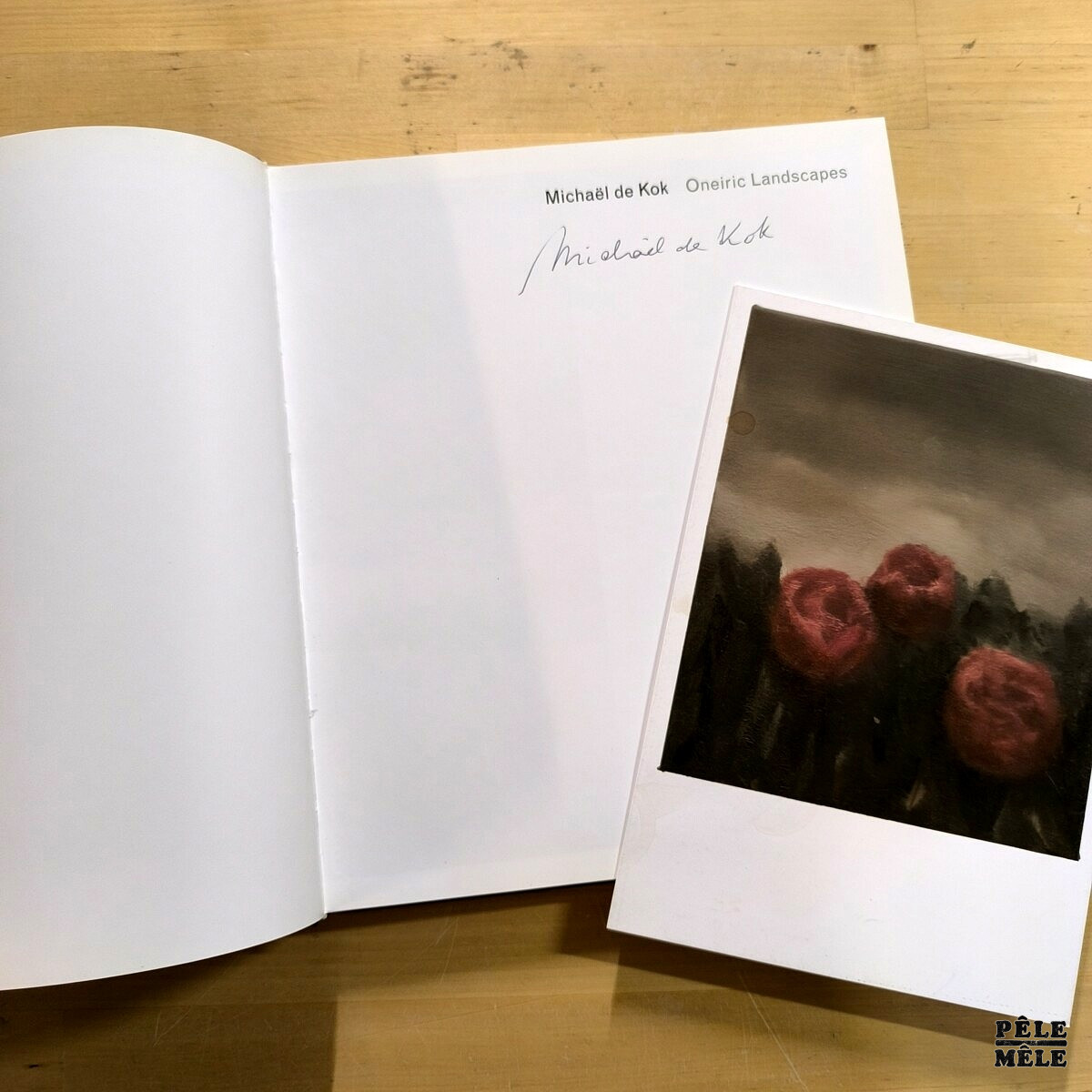 Michaël de Kok "Oneiric Landscapes" (ROBERTO POLO GALLERY, 2014) Exemplaire signé par l'artiste – Image 2