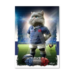 Petit Tableau Chat-Bal Binet 20x28cm