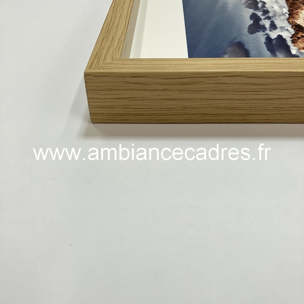 Décoration Sinagots Cohen 42x42cm – Image 4