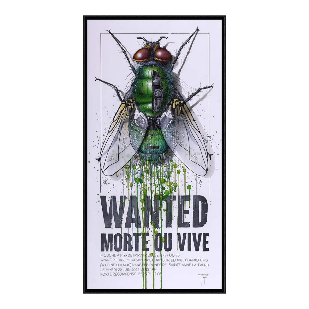 Tableau Alain Coadou Mouche Wanted