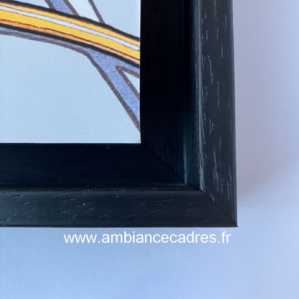 Tableau Alain Coadou Mouche Wanted – Image 2